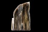 Polished, Petrified Wood (Metasequoia) Stand Up - Oregon #152382-1